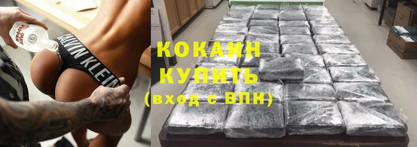 крисы Баксан