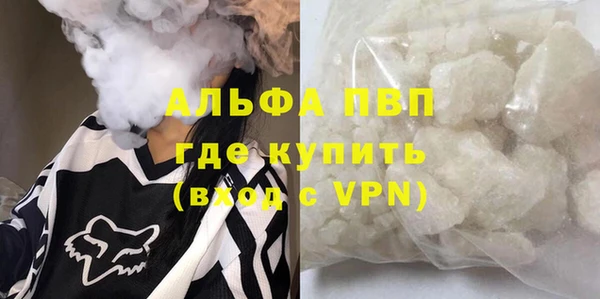 крисы Баксан