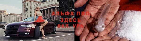 крисы Баксан