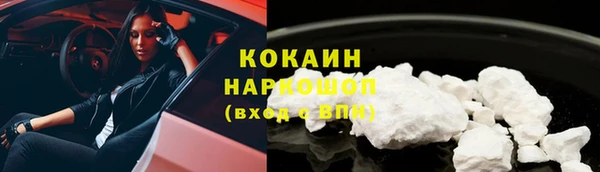 крисы Баксан