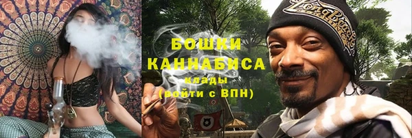крисы Баксан
