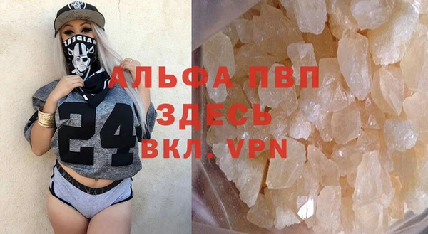 крисы Баксан